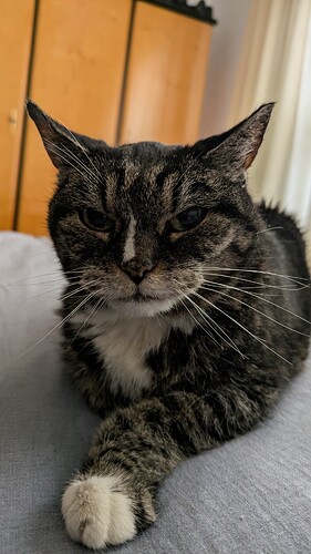 PXL_20250807_140730349