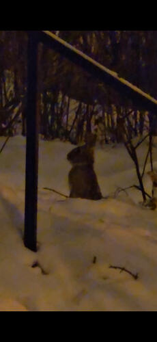 Screenshot_20260210_082009_Gallery