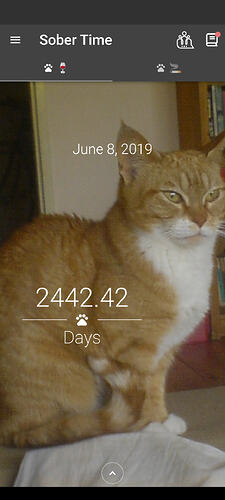 Screenshot_20260213-090051