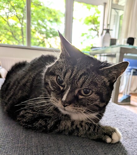 PXL_20240627_172353101~2