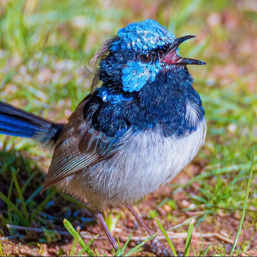 Screenshot_20250810_185018_Instagram