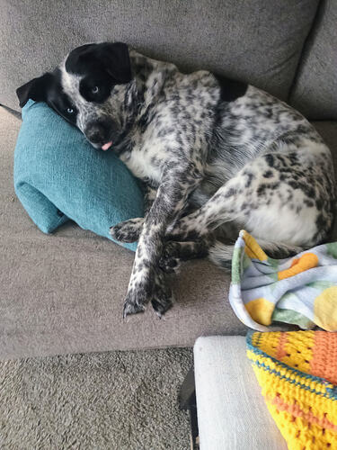 IMG_20260215_101421126_AE