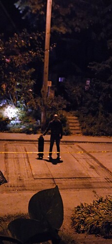 Screenshot_20250918_084906_Gallery