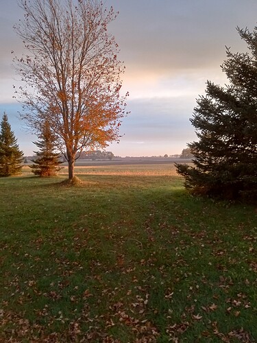 IMG_20251025_073227965_HDR