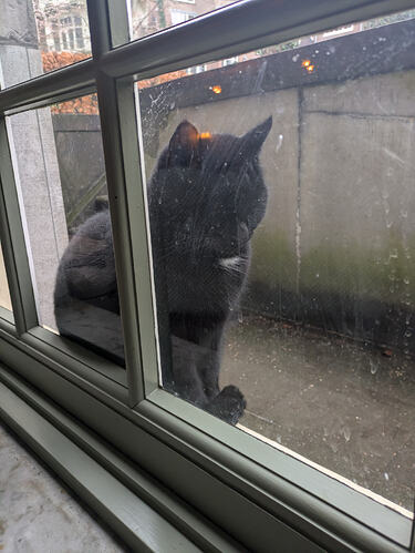 PXL_20260131_093342721