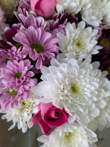 PXL_20250524_083638510