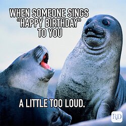 Birthday-Memes-37