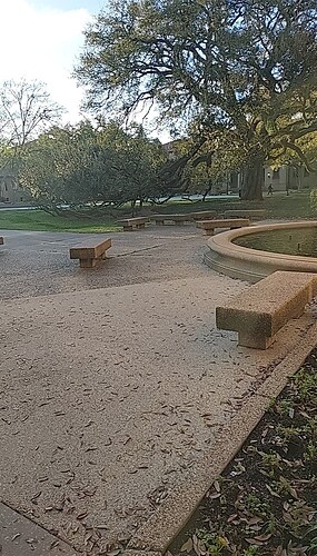 IMG020250310_081547