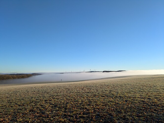 PXL_20251215_081437551