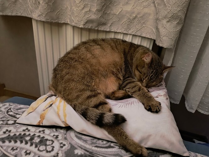 IMG_20250722_223144842