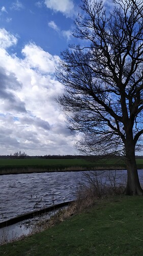 IMG_20220217_130655