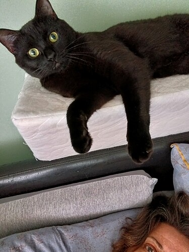 IMG_20250224_094128_533~2