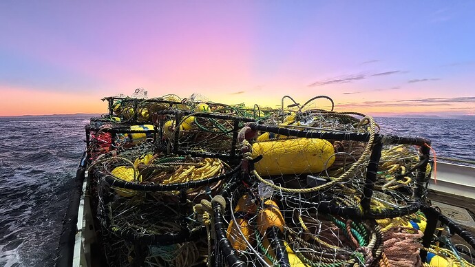 fa85f2e30b125ea1727fec6669a540e4_1166532.0333333332_1768964420540