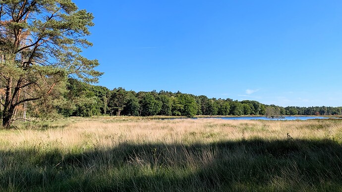 PXL_20250630_083022433