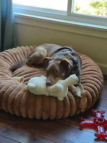 IMG_20260607_145729