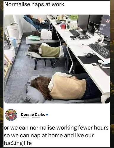528447862_1160192199472475_8133768735792319337_n