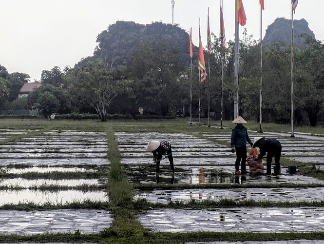 PXL_20251104_063219361~2