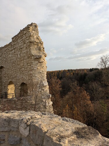 PXL_20251115_073120019