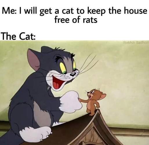 FB_IMG_1700252232618