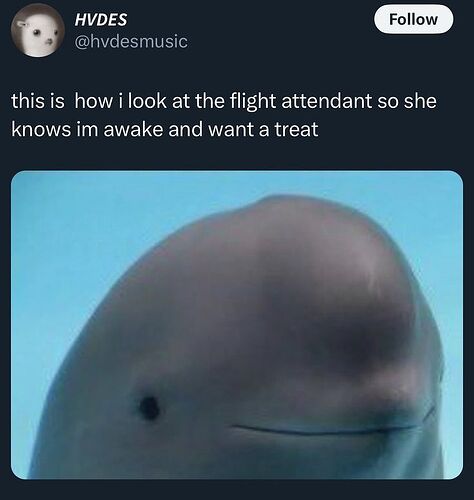 Tumblr_l_198900013422650