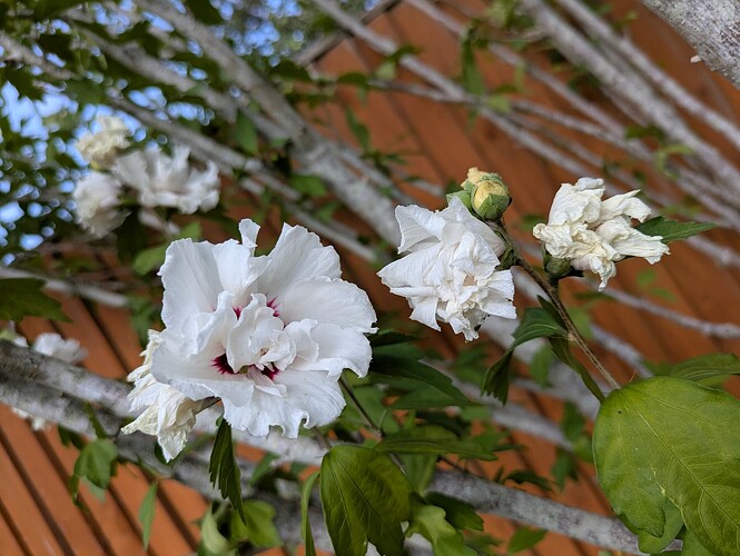 PXL_20250714_163409687