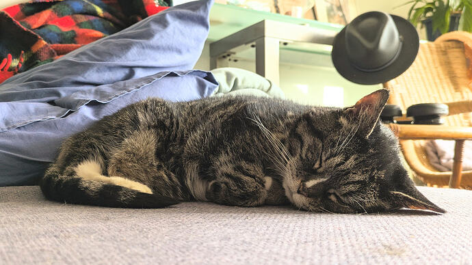 PXL_20250322_082551203~2 (1)