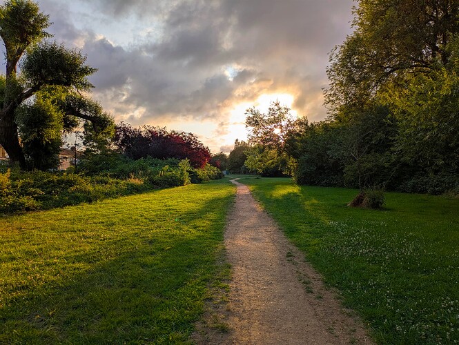 PXL_20250623_044534679~2