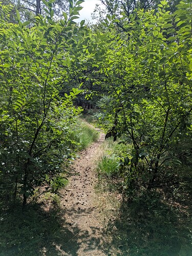 PXL_20250710_093851370