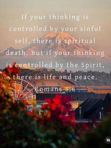 2b218166d24fe58db4d1d23db8576bf6