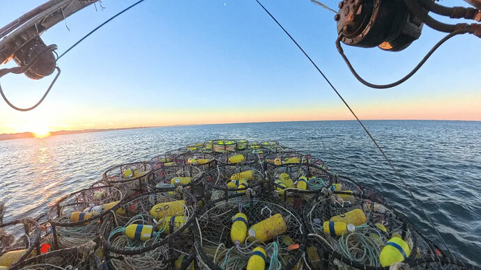 VID_20251213_083422_00_001_020_2026-02-03_19-05-00_screenshot