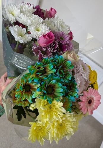 PXL_20250524_083557998