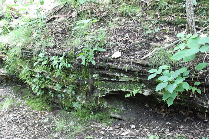 IMG-20260703-WA0163