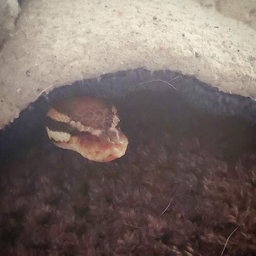 IMG_20200831_163522_616