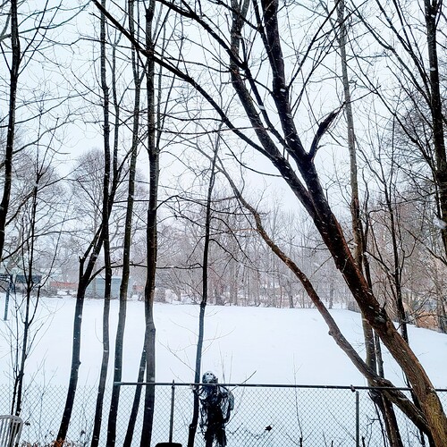 20250302_174613~2-EFFECTS