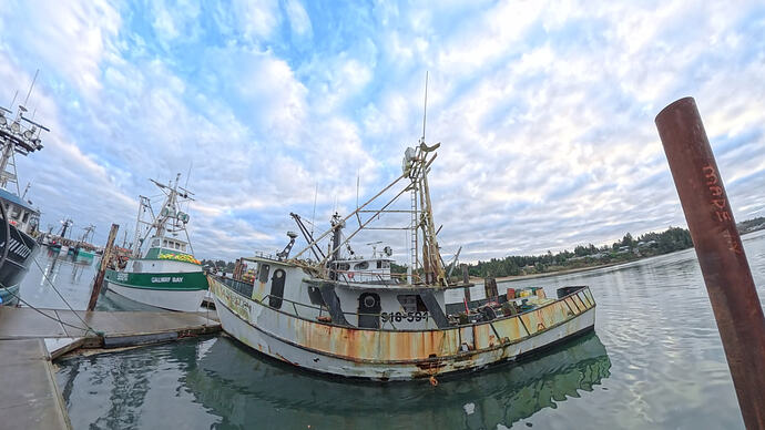 VID_20251211_083827_00_010_2026-02-01_13-19-32_screenshot