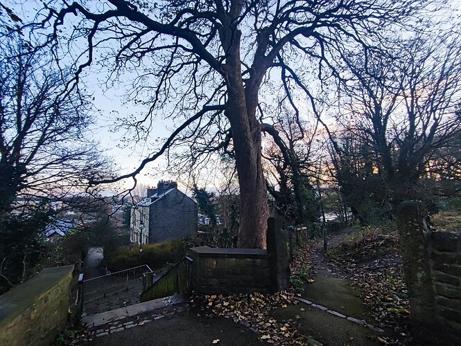 c4433bca-b958-44e9-913c-e19e0fed5e16-1_all_43194