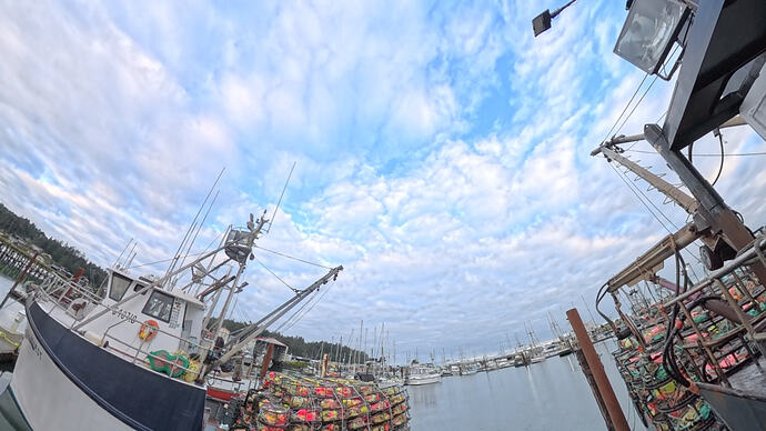 VID_20251211_083827_00_010_2026-02-01_13-20-13_screenshot