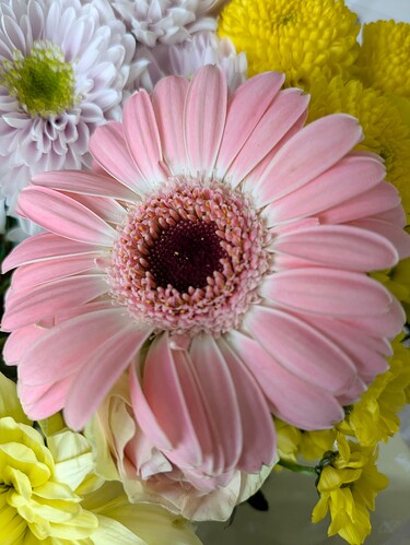 PXL_20250524_083618976