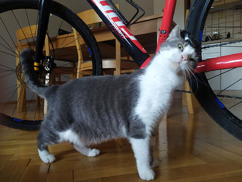 IMG_20260310_1038071