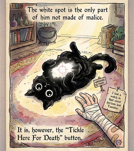 FB_IMG_1768777087376