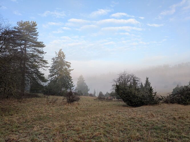 PXL_20251220_075518251