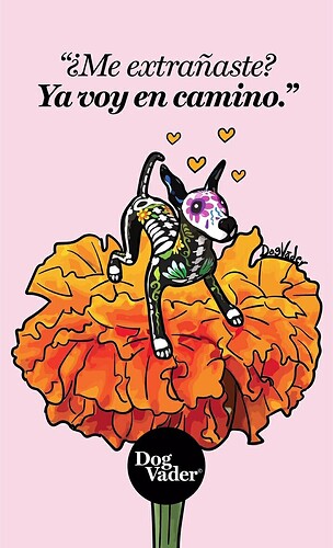 Screenshot_20251027-093939_Instagram