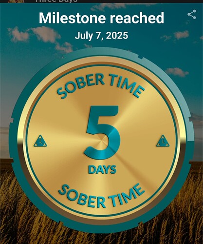 Screenshot_20250707-150741_Sober Time
