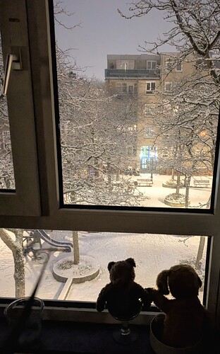 PXL_20260105_163430882 (1)