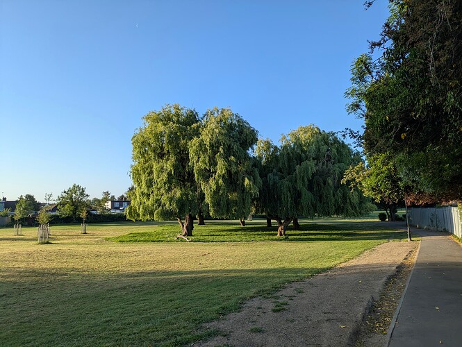 PXL_20250522_052543316