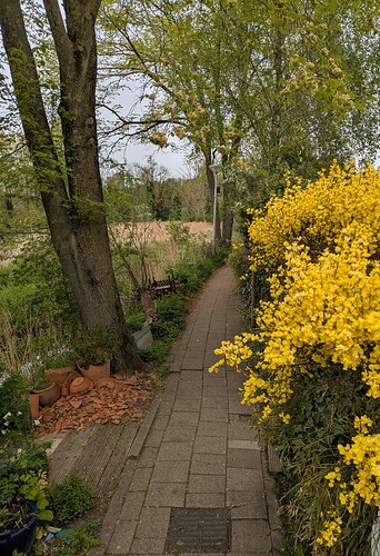 PXL_20250417_112131533