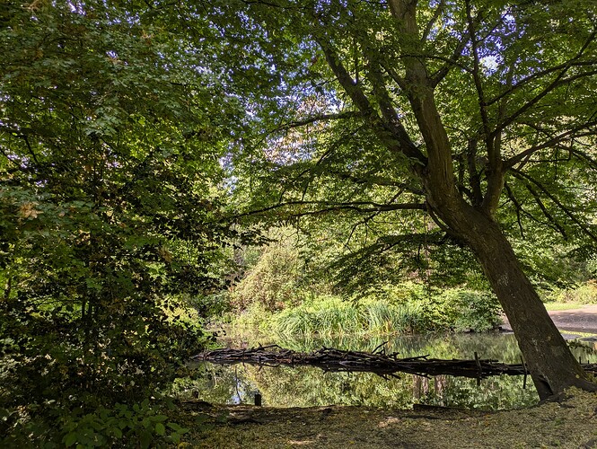 PXL_20250828_131319009