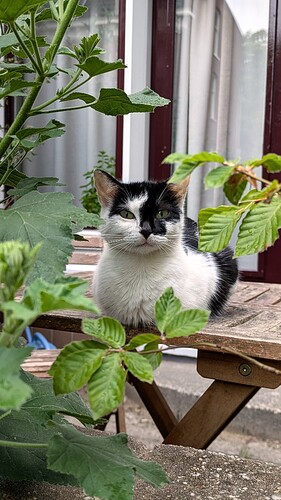 PXL_20250525_164150575