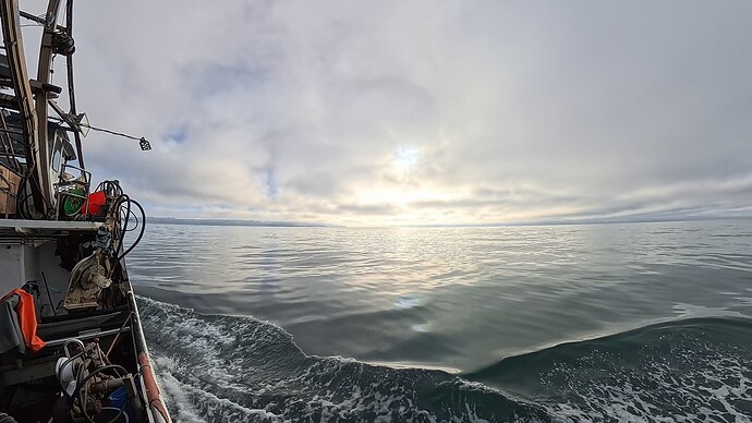 537b46161b7ab37edb9b0b690a3d90ef_2433431.0_1768783135480