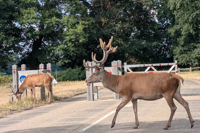 PXL_20250709_165634533